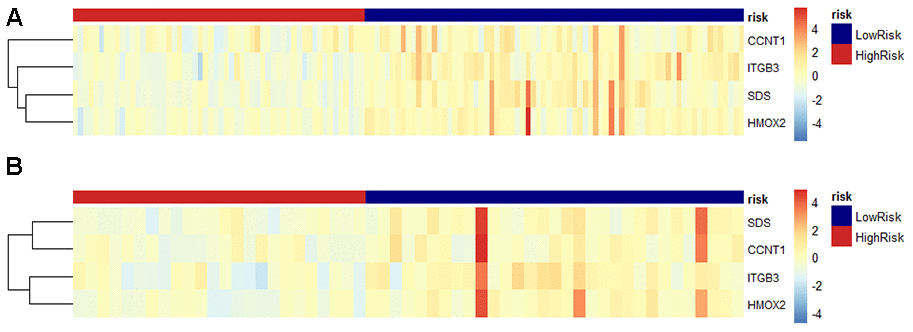 Predicted DNA methylation marker heat map of PDAC patients based on risk scores tested in the training cohort and validation cohort. (A) In the training data set, the relative gene expression level of the four DNA methylation genes in the prediction model based on the risk score is displayed in the form of a heat map. Each column represents a single patient in the combined verification cohort, ranked according to the predictor score, with the lowest score. Each row represents a gene in the model, sorted by gene's contribution to the score. Blue represents low risk, red represents high risk. (B) Same as above, perform the same operation in the verification data set for verification.