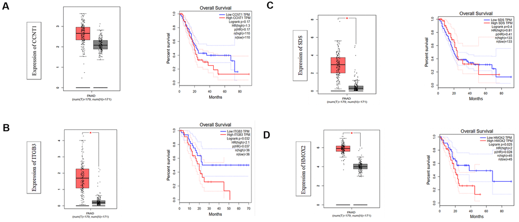 The expression levels of four methylated genes in PDAC and normal tissues in TCGA database and their relationship with overall survival. *, P