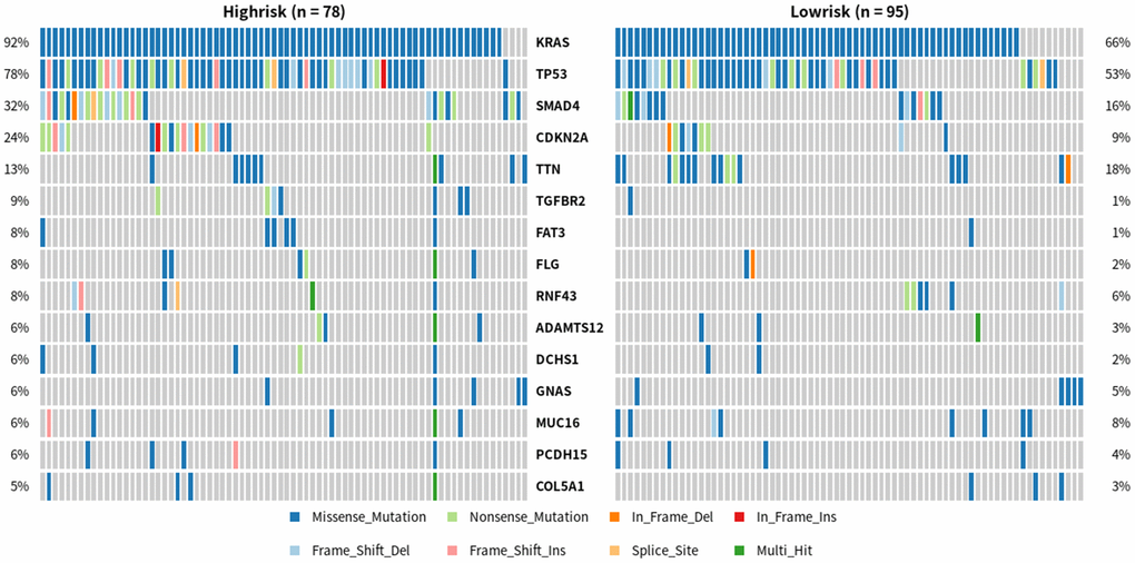 Differences in gene mutations between high-risk and low-risk PDAC patients. One row represents a gene, and the top 15 is intercepted from it; One column is a sample, high risk group (n=78), low risk group (n=95). Different colors represent different types of mutations.