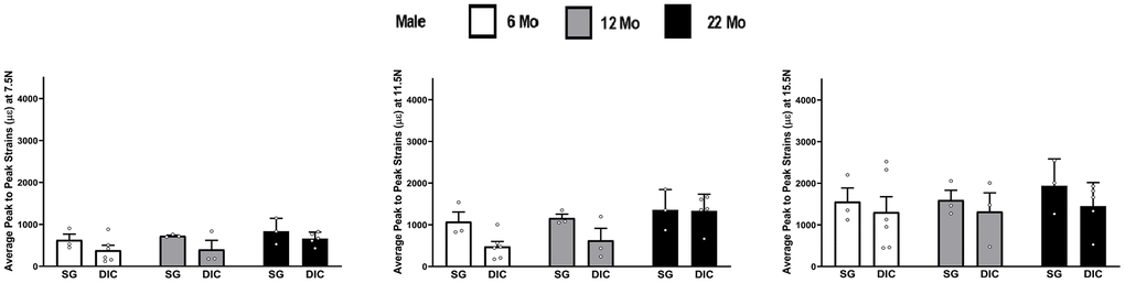 Strains captured by Digital Image Correlation (DIC) and Strain Gage in male tibiae at load levels of 7.5 N, 11.5 N and 15.5 N.