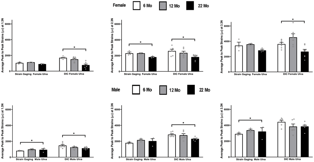 Average peak to peak strains captured from strain gaging (n=3) and DIC method (n=5-7) at 6, 12 and 22 months groups ulnae (* p