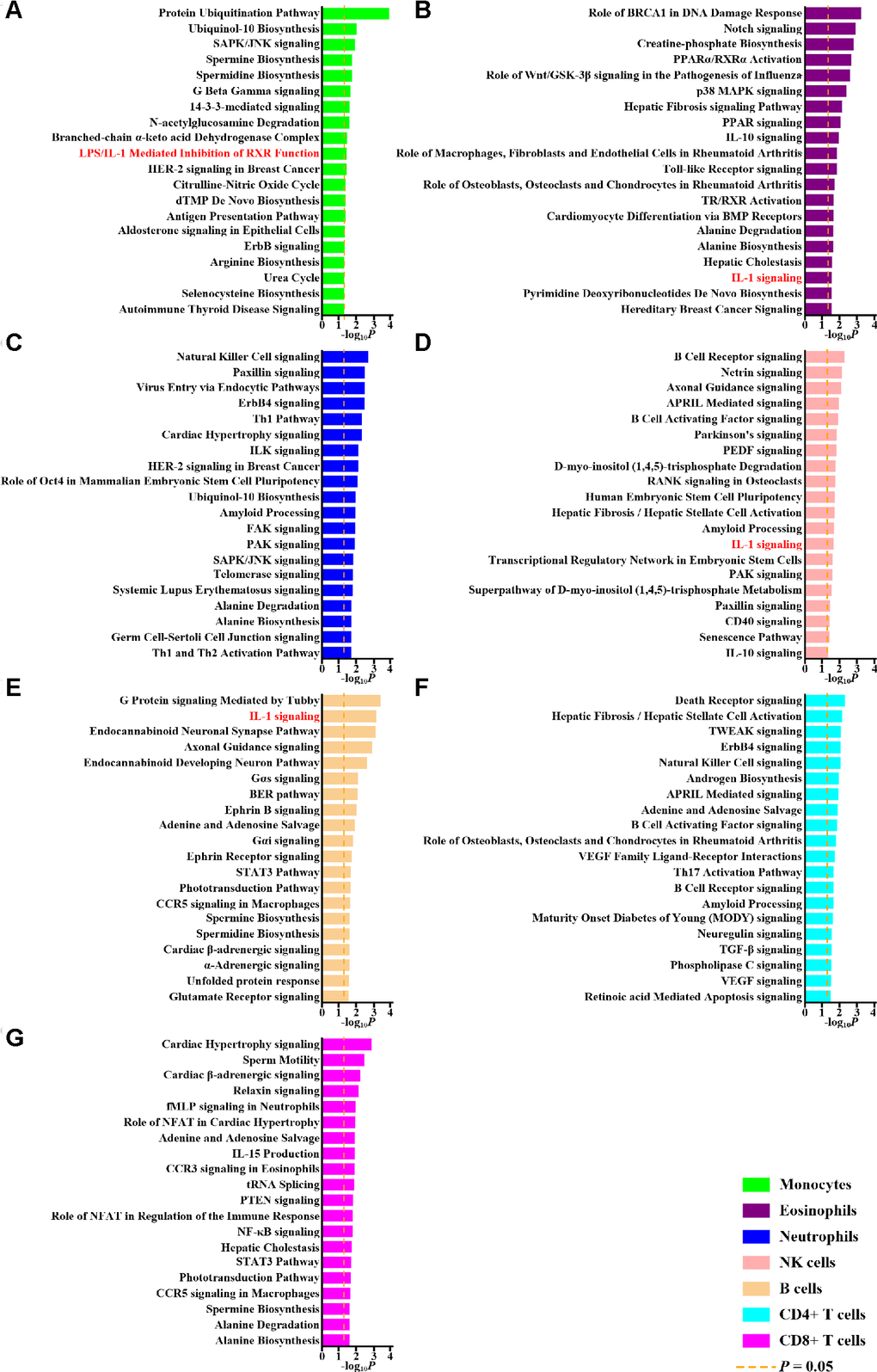 Pathway analysis of differentially methylated genes. The top 20 pathways of differentially methylated genes in monocytes (A), eosinophils (B), neutrophils (C), NK cells (D), B cells (E), CD4+ T cells (F) and CD8+ T cells (G) revealed by Ingenuity Pathway Analysis and corresponding P values are shown. The dashed orange lines represent P values of 0.05. Pathways related to interleukin-1 (IL-1) are highlighted with red.