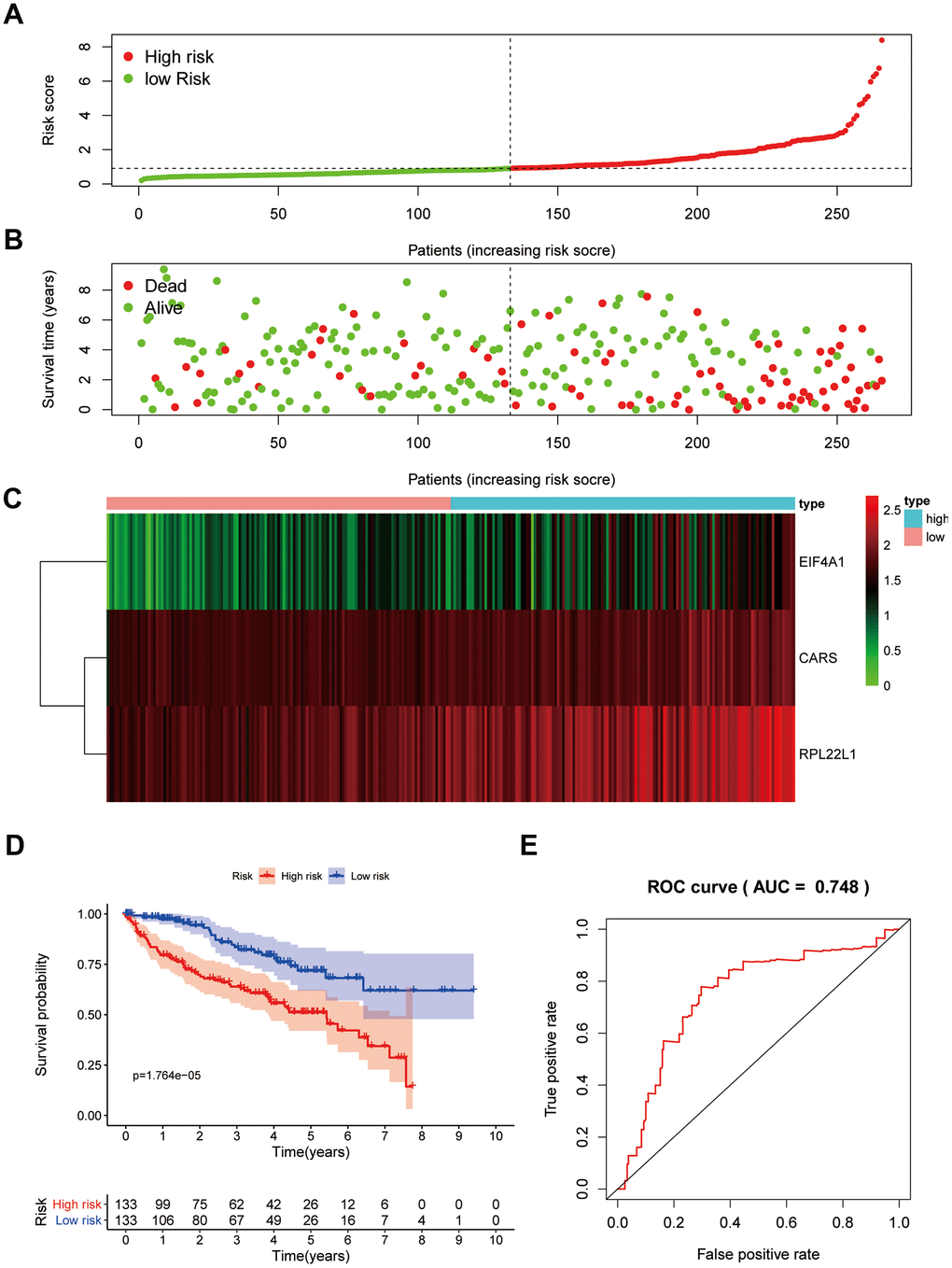 Prognostic analysis of three-gene model in the training group. The samples were divided into high- and low-risk subgroup according to the median of risk score. (A) The curve of risk score. (B) Survival status of patients. (C) Expression heatmap of three prognostic genes. (D) Survival curve for high- and low-risk subgroup. (E) ROC analysis of three-gene model. ROC, receiver operating characteristic.