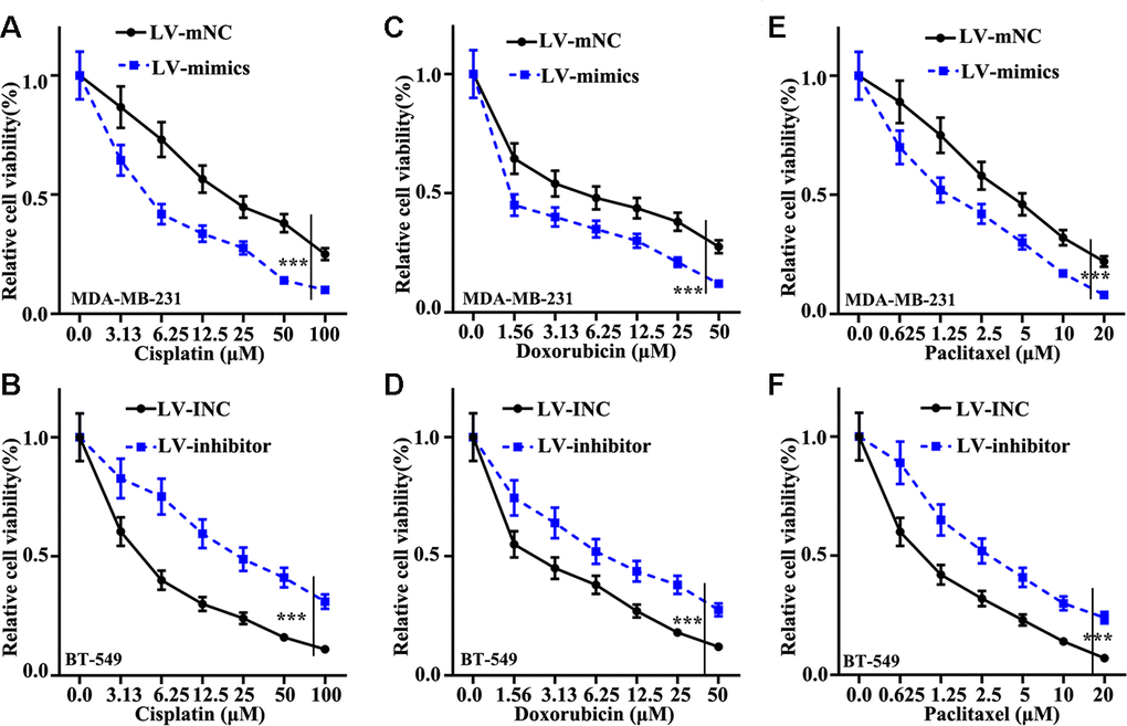 Effect of miR-205 on chemotherapy sensitivity of TNBC cells. (A) Cell proliferation analysis of Cisplatin in miR-205 overexpression treatment in MDA-MB-231 cells. (B) Cell proliferation analysis of Cisplatin in miR-205 knockdown treatment in BT-549 cells. (C) Cell proliferation analysis of Doxorubicin in miR-205 overexpression treatment in MDA-MB-231 cells. (D) Cell proliferation analysis of Doxorubicin in miR-205 knockdown treatment in BT-549 cells. (E) Cell proliferation analysis of Paclitaxel in miR-205 overexpression treatment in MDA-MB-231 cells. (F) Cell proliferation analysis of Paclitaxel in miR-205 knockdown treatment in BT-549 cells. ***P