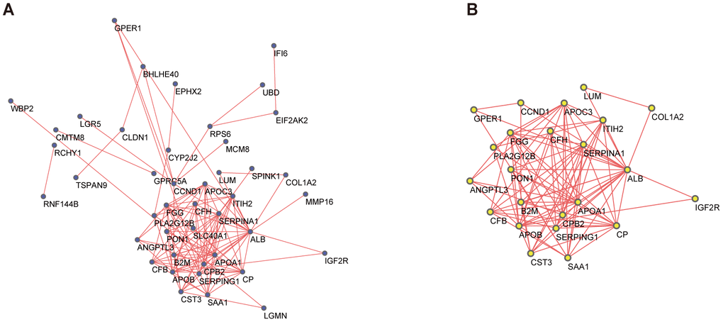 PPI network and the most significant module of DEGs. (A) The PPI network of DEGs was constructed based on database STRING and Cytoscape software. (B) The most significant module was obtained from the PPI network by MCODE with criteria as follows: MCODE scores > 5, degree cut-off = 2, node score cut-off= 0.2, node density cut-off=0.1, Max depth=100 and k-score = 2. PPI, protein-protein interaction; DEGs, differentially expressed genes; MCODE, Molecular Complex Detection (version 1.6), an APP of Cytoscape for clustering a given network based on the topology to find densely connected regions.