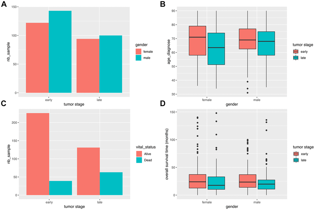 Clinical characteristics of COAD patients. (A) Stage distribution between male and female COAD patients. (B) Gender-based distribution of age of first diagnosis and stage. (C) Vital status distribution according to stage. (D) Survival time distribution for gender and stage.