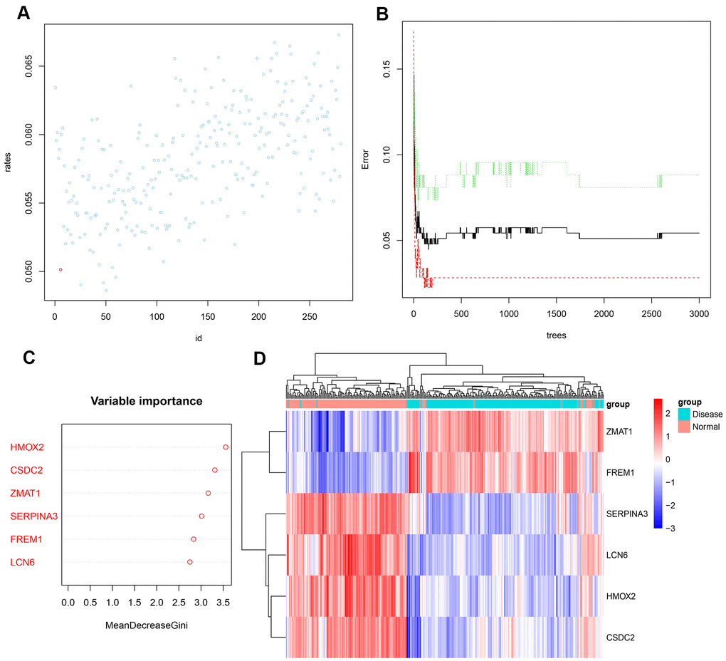 (A) Scatter plot of the effect of variable number selection on the average error rate. The x-axis represents the number of variables, and the y-axis indicates the out-of-band error rate. The point in the lower left represents the number of variables (i.e., six). (B) The influence of the number of decision trees on the error rate. The x-axis represents the number of decision trees, and the y-axis indicates the error rate. When the number of decision trees is approximately2000, the error rate is relatively stable. (C) Results of the Gini coefficient method in random forest classifier. The x-axis indicates the genetic variable, and the y-axis represents the importance index. (D) Heatmap of unsupervised clustering showing the results of the hierarchical clustering produced by the six important genes generated by random forest in GSE57345. Red color indicates genes with high expression in the samples, blue color indicates genes with low expression in the samples, the red band on the upper side of the heatmap indicates normal samples, and the blue band indicates HF disease samples.