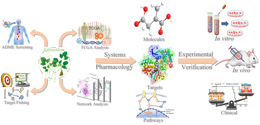 The workflow of the systems pharmacology method.