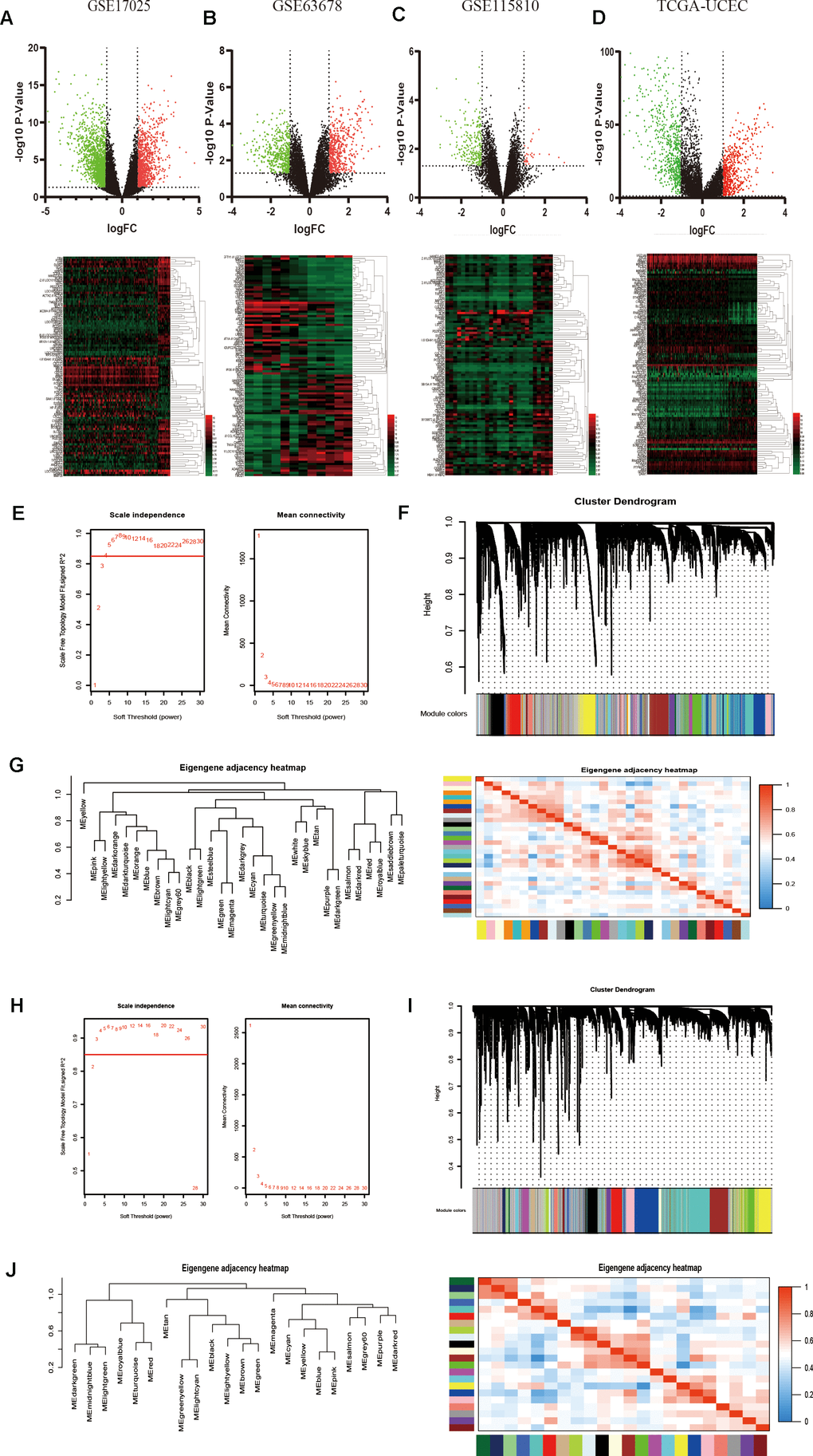 Identification of DEGs among GEO and TCGA-UCEC datasets and construction of co-expression modules by WGCNA package. (A–D) The volcano plots and heatmaps of DEGs in GSE17025, GSE63678, GSE115810 and TCGA-UCEC databases, respectively. In the heatmap, red indicates relative upregulation of gene expression; black indicates no significant change; green indicates downregulation of gene expression. (E) Analysis of the scale-free fit index and mean connectivity for various soft-thresholding powers for TCGA samples. (F) Dendrogram of differentially genes clustered based on a dissimilarity measure (1-TOM) for TCGA samples. (G) Dendrogram of consensus module eigengenes and heatmap of the adjacencies for TCGA. (H) Analysis of network topology for various soft-threshold powers for GSE17025 data. (I) Clustering dendrogram of genes in GSE17025 with dissimilarity based on topological overlap, together with assigned module colors. (J) Visualizing the gene network using a heatmap plot of GSE17025 data.