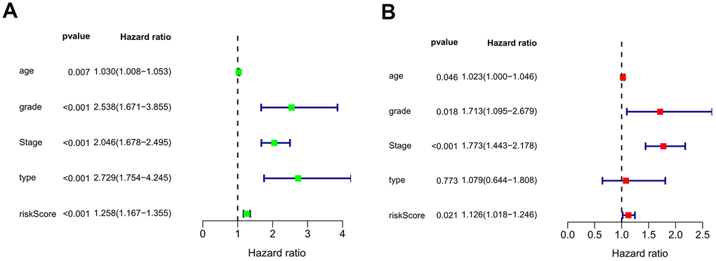 The forest plots of univariate (A) and multivariate (B) Cox regression analysis of the prognostic value in the entire dataset.