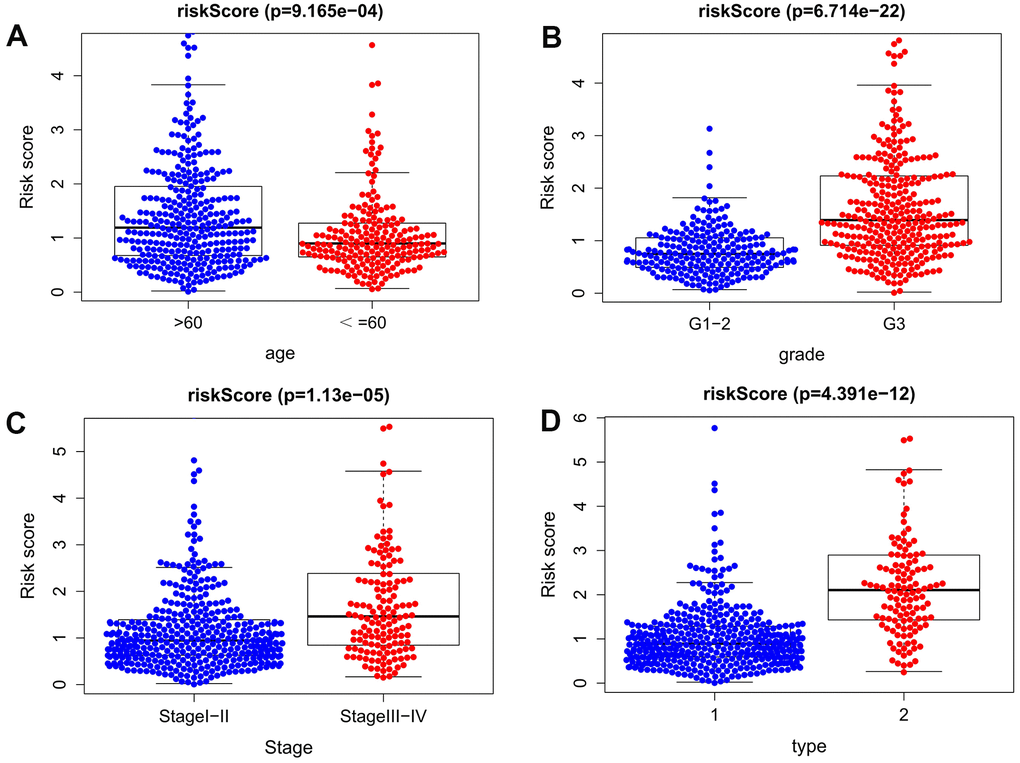 Clinical significance of the prognostic signature of EC. (A) age; (B) pathological grade; (C) FIGO stage; (D) histological type (1 endometrioid adenocarcinoma, 2 mixed and serous adenocarcinoma).