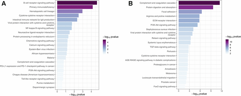 Kyoto Encyclopedia of Genes and Genomes pathway analysis. The top 20 significant (p A) and brown (B) modules. Column color was used to map the p value of specific functional items: darker columns indicate smaller p values (greater significance) for the corresponding enrichment.