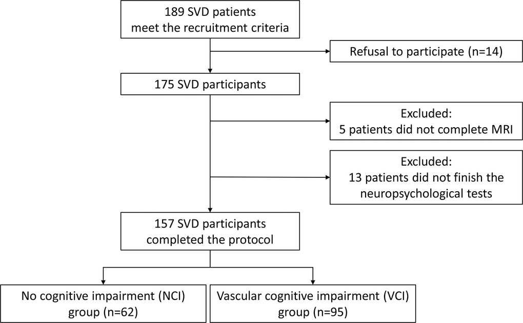Schematic representation of patient enrollment. A total of 157 of 189 patients completed comprehensive evaluations, including neuroimaging and neuropsychological assessments, and were recruited into the study. Based on their performance on neuropsychological tests, patents were divided into those with vascular cognitive impairment (VCI) or those with no cognitive impairment (NCI).
