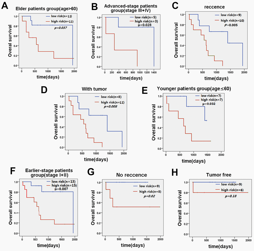 KM curve of OS of patients stratified by age, stage, recurrence, and current tumor status by five-lncRNA signature. (A) KM curves of the elder patients’ group and (E) KM curves in the younger patients’ group; (B) KM curves in the advanced-stage patients' group and (F) KM curves in the earlier-stage patients' group. (C) KM curves in the recurrence patients’ group and (G) KM curves in the no recurrence patients’ group. (D) KM curves in the with tumor patients’ group and (H) KM curves in the tumor-free patients’ group.