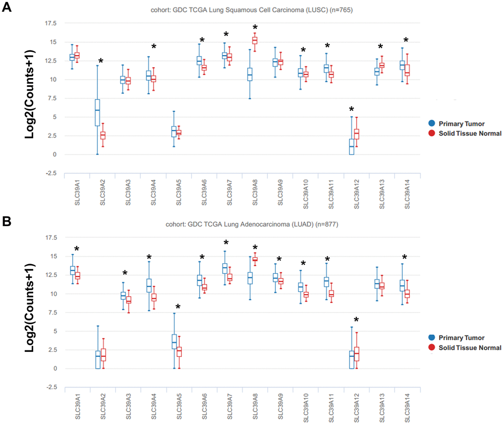 The box plots showed mRNA expression of total 14 SLC39A families in NSCLC tissues and in normal lung tissues were determined using UCSC database. Expression of SLC39A1-14 is shown in LUSC (A) and LUAD (B). * P