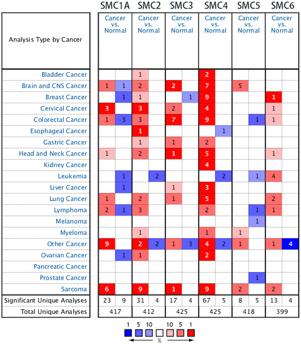 The Transcription Levels of SMC Factors in Different Types of Cancers (ONCOMINE).