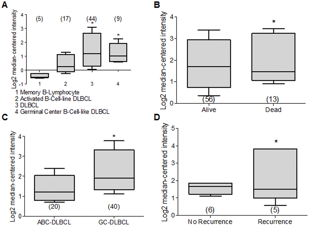 Deptor expression in lymphoma. Based on the oncomine analysis we revised Deptor expression in different subtypes of DLBCL lymphoma. (A) In Compagno et al. analysis, we observe a differential expression of Deptor in different subtypes of DLBCL. DLBCL, GCB-DLBCL and ABC-DLBCL, shows higher Deptor expression compared with memory B-cell (*pB) In Shaknovich et al, analysis, overall survival according Deptor expression was revised, alive patients show slight high Deptor expression compared with dead patients (*p=N/S). (C) In the same analysis two subtypes of DLBCL were revised; ABC-DLBCL vs GC-DLBCL shows a higher Deptor expression in GC-DLBCL (*pD) In the same study recurrence was analyzed and Deptor expression was no significantly high in the patients with recurrence vs patients with no recurrence (*p=N/S).