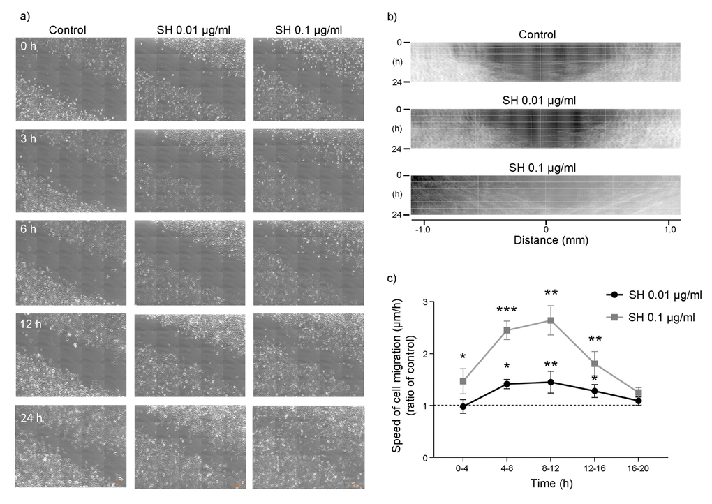 Effect of Salvia haenkei extract on HaCaT cell migration - wound healing assay. (A) Representative images showing the scratch (wound) at t = 0-3-6-12-24 h after treatment with 0.01-0.1 μg/ml SH. Images were acquired by confocal microscopy LSM 800 Software ZEN 2.1 Blue edition, 20X magnification and the scratch rate during the time was analyzed with the dedicated software. Figure (B) shows kymograms of HaCaT cells migration; (C) quantification of cells migration speed expressed as ratio of SH treatment to control (μm/h). Data are representative of 3 different experiments. *pppvs control.