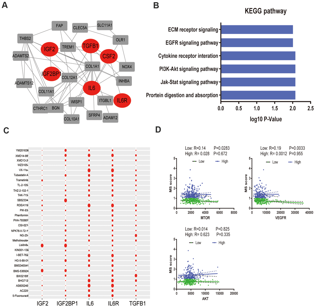 Functional annotation of black module and drug response. (A). PPI network of black module genes. The known metabolic -related genes were strikingly marked in red; (B). Functional annotation for black module; (C). Correlation between drugs metabolism and metabolic –related genes, which affect major signaling pathways—IGF, EGFR, mTOR, ERK-MAPK, p53, JNK and p38-MAPK signaling. (D). The correlation of gene MetS Score and major drugs metabolism signaling pathways.