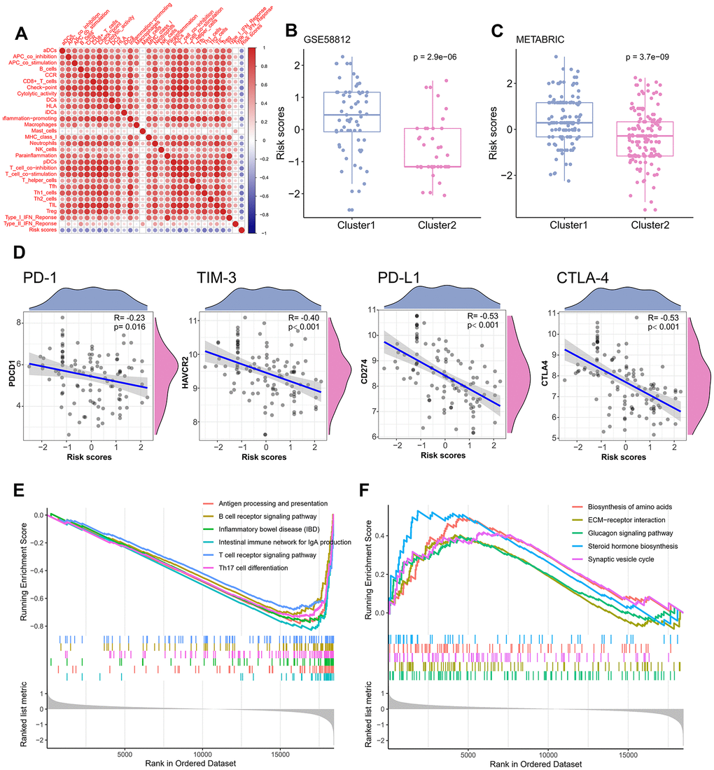 Correlation of TME signature with different TME clusters. (A) The correlation between TME signature and infiltrating immune cells. (B) Distribution of TME scores in different TME clusters of training set. (C) Distribution of TME scores in different TME clusters of the validation set. (D) The correlation between TME scores and immune checkpoint molecules. (E) Pathways enriched in low-risk group. (F) Pathways enriched in high-risk group.