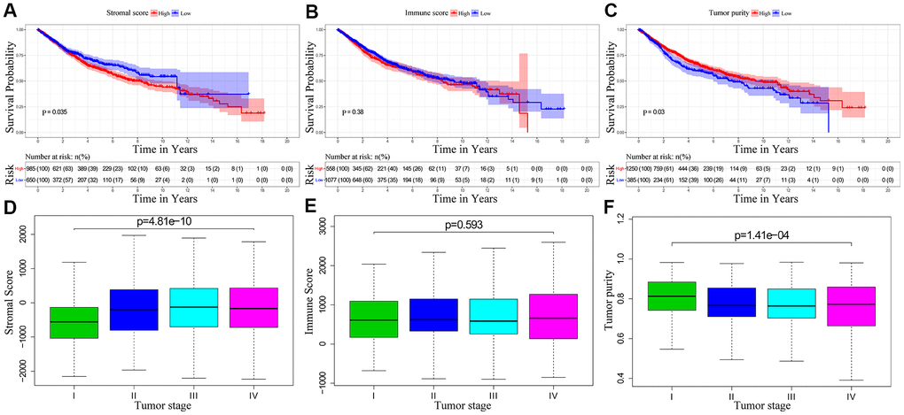 The relationship between stromal score, immune score and tumor purity of CRC patient samples with pathological stages and overall survival. (A) Kaplan-Meier survival curve analysis shows overall survival of CRC patients with high and low stromal scores. (B) Kaplan-Meier survival curve analysis shows overall survival of CRC patients with high and low immune scores. (C) Kaplan-Meier survival curve analysis shows overall survival of CRC patients with high and low tumor purity. (D) Correlation analysis between stromal scores and pathological stages of CRC patients. (E) Correlation analysis between immune scores and pathological stages of CRC patients. (F) Correlation analysis between tumor purity and pathological stages of CRC patients.