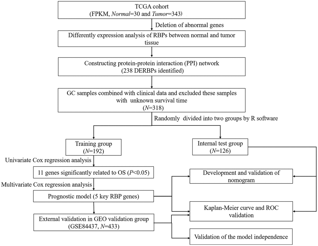 Flow chart of constructing the five-RBP risk model.