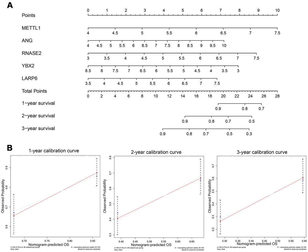 (A) Nomogram to predict the risk of GC patients; (B) Calibration curves for the prediction of 1-, 2- or 3-year overall survival.