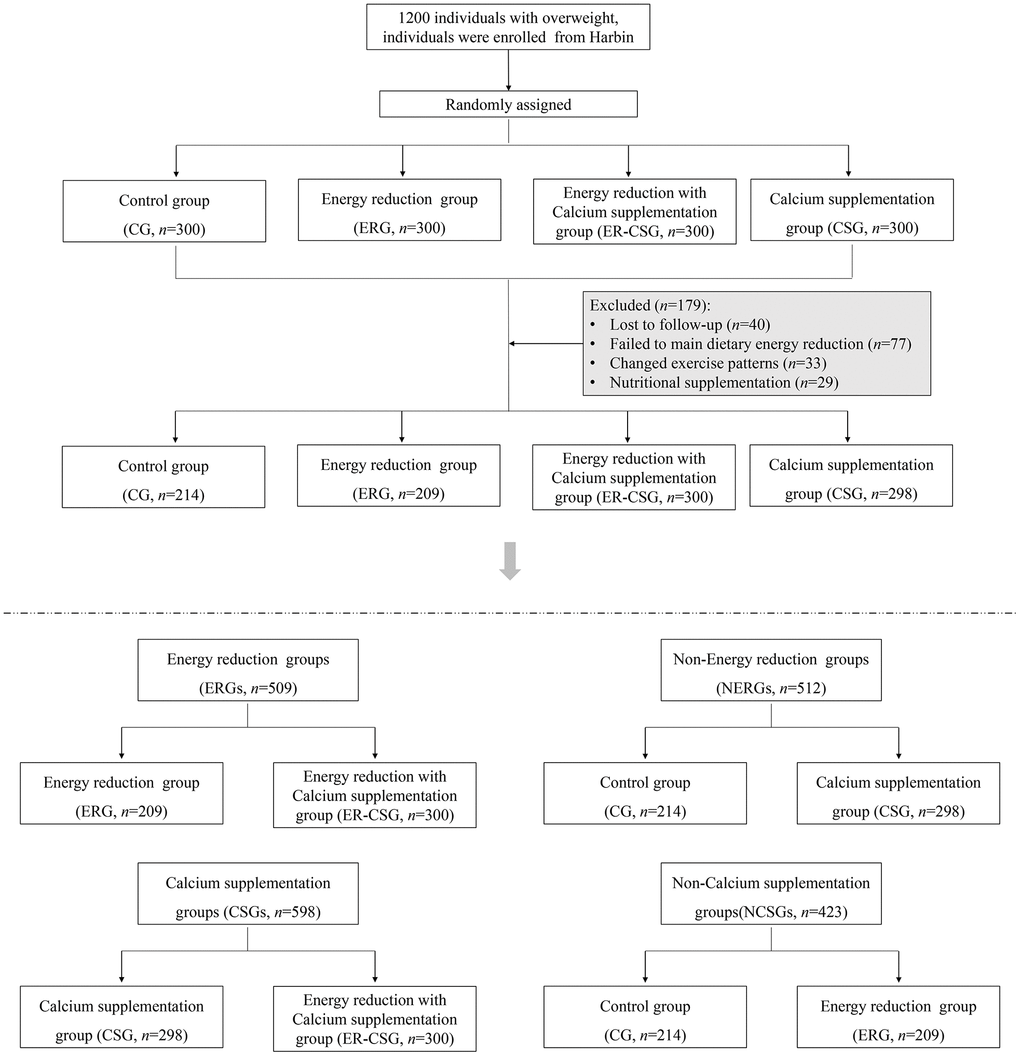 The flow diagram of the RCT.