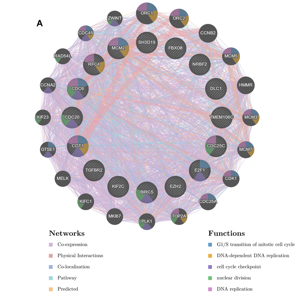 Interaction network of associated genes generated by GENEMANIA. (A) The PPI network and functional analysis consisted of the TF-kinase-miRNA-TMME106C interaction. These genes were linked by different colors indicating the following relation: coexpression, physical interaction, colocalization, pathway or predicted, while the different colors for the network nodes indicate the biological functions of the set of enriched genes.