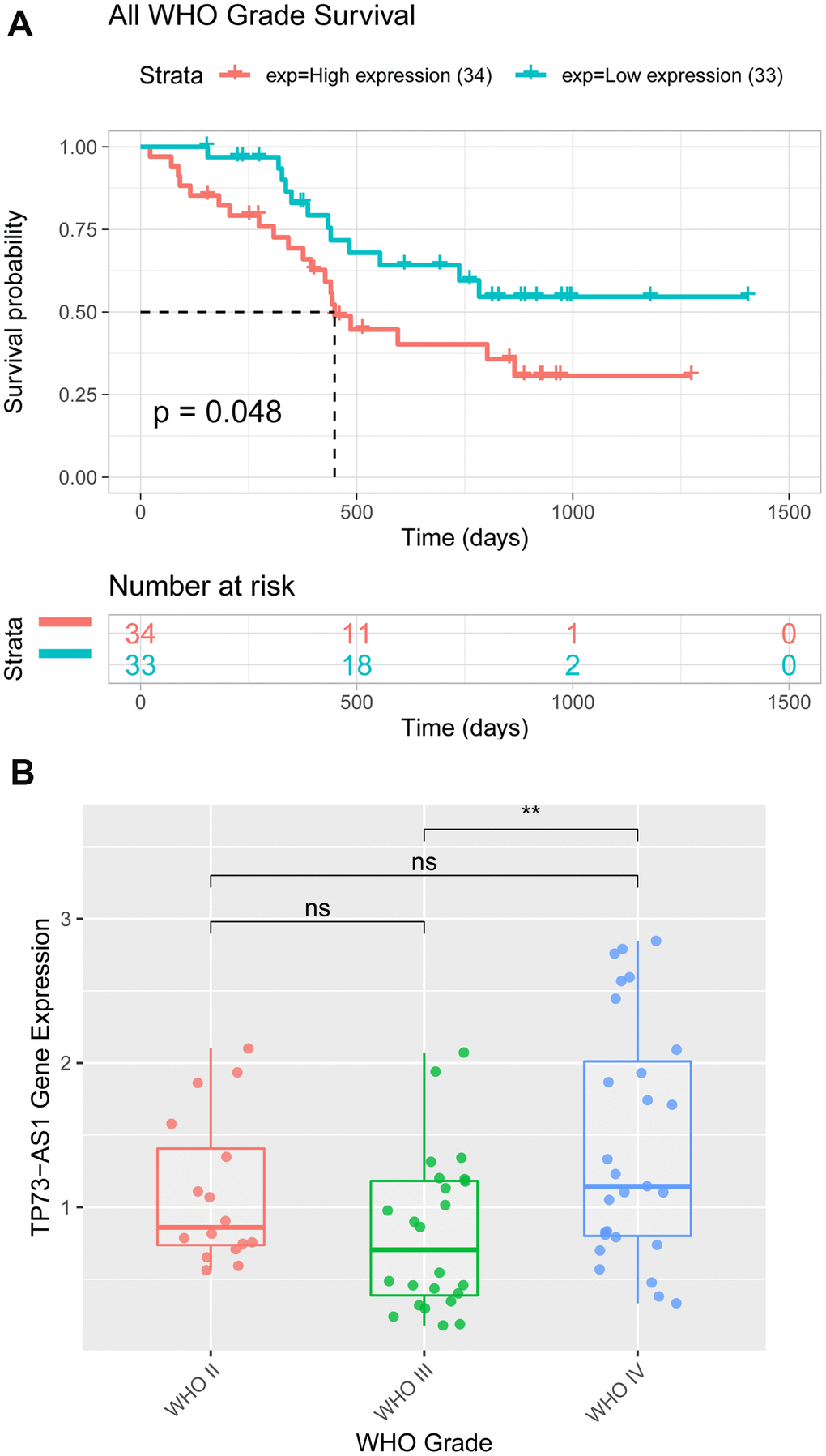 Expression and Kaplan-Meier analyses of TP73-AS1 in patients with glioma from the hospital. (A) The expression value of TP73-AS1 in glioma samples of patients from the hospital with different WHO grades. (B) Kaplan-Meier analysis of OS for the expression of TP73-AS1 in glioma samples of patients from the hospital with all WHO grades.