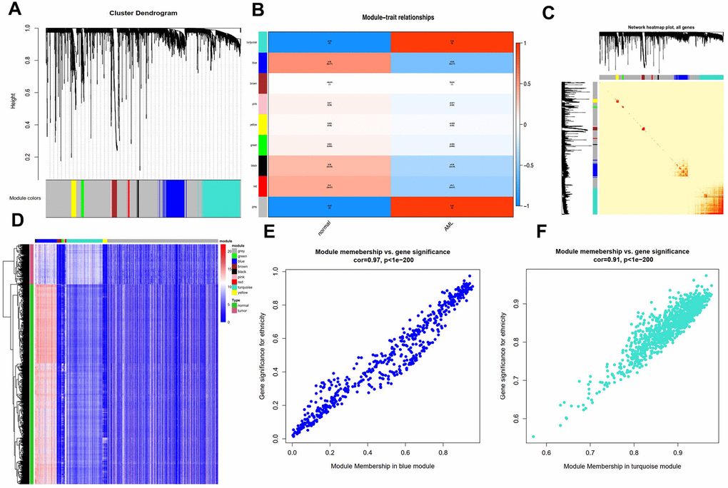 Characterization of adult AML co-expression network. (A) Cluster dendrogram and colored display of the network. (B) Relationship between modules and phenotypes. Turquoise and blue module are the top two modules related with AML phenotype according to P-value. (C) Network heatmap plot for genes in the modules in hierarchical clustering dendrograms. The deeper the red, the more correlated between the genes. (D) Gene expression differences between AML samples and normal control in modules. (E) Gene Significance (GS) and Module Membership (MM) analyses in turquoise and (F) blue module.