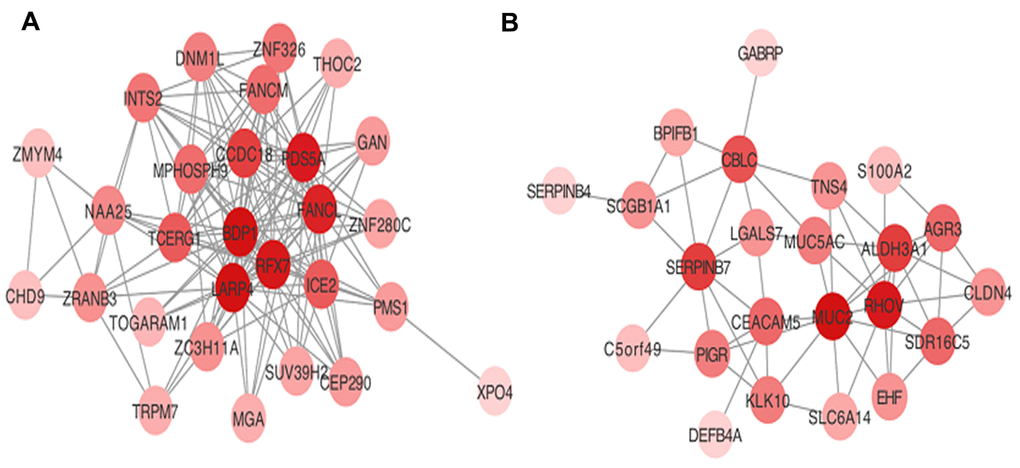 Visualization of hub genes network in (A) turquoise and (B) blue modules.