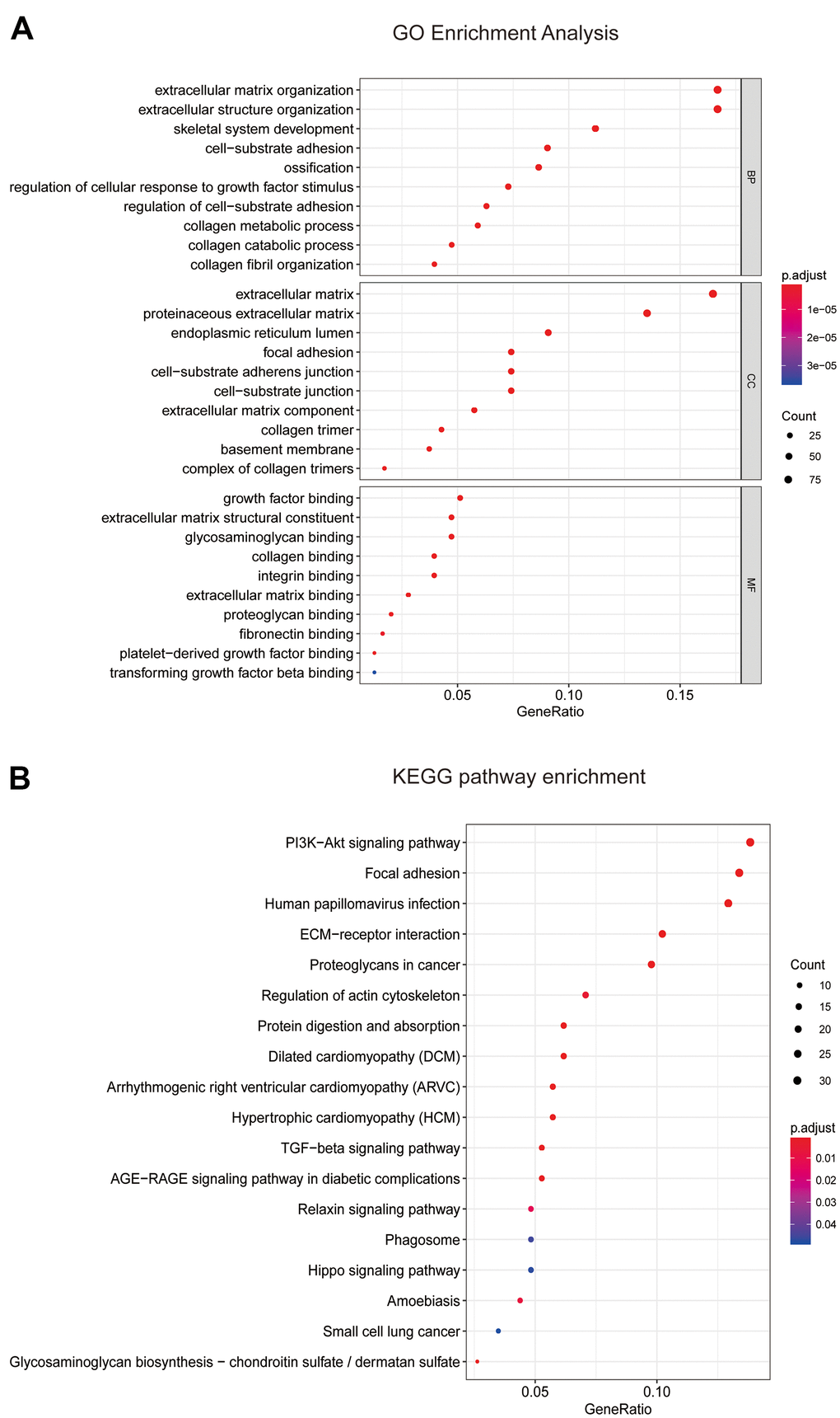 Enrichment analyses of blue module. (A) Go enrichment analysis and (B) KEGG pathway analysis of all genes in blue module. GO, Gene Ontology; KEGG, Kyoto Encyclopedia of Genes and Genomes.