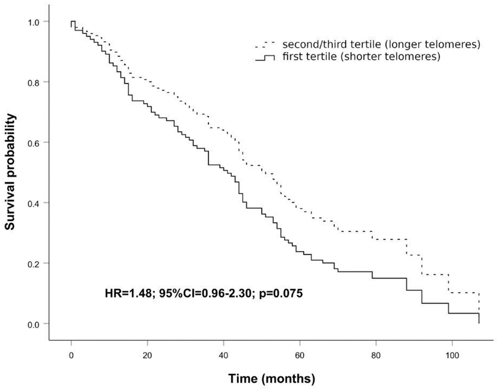 Survival functions relative to carriers of shorter telomeres (first tertile) vs carriers of longer telomeres (second/third tertile) conducted on the age range 83 to 92 years. The Cox regression was adjusted for age and sex. Time is expressed in months, where zero is considered the time of recruitment. HR value, confidence interval, and p-value from Cox regression analysis are reported inside the figure.