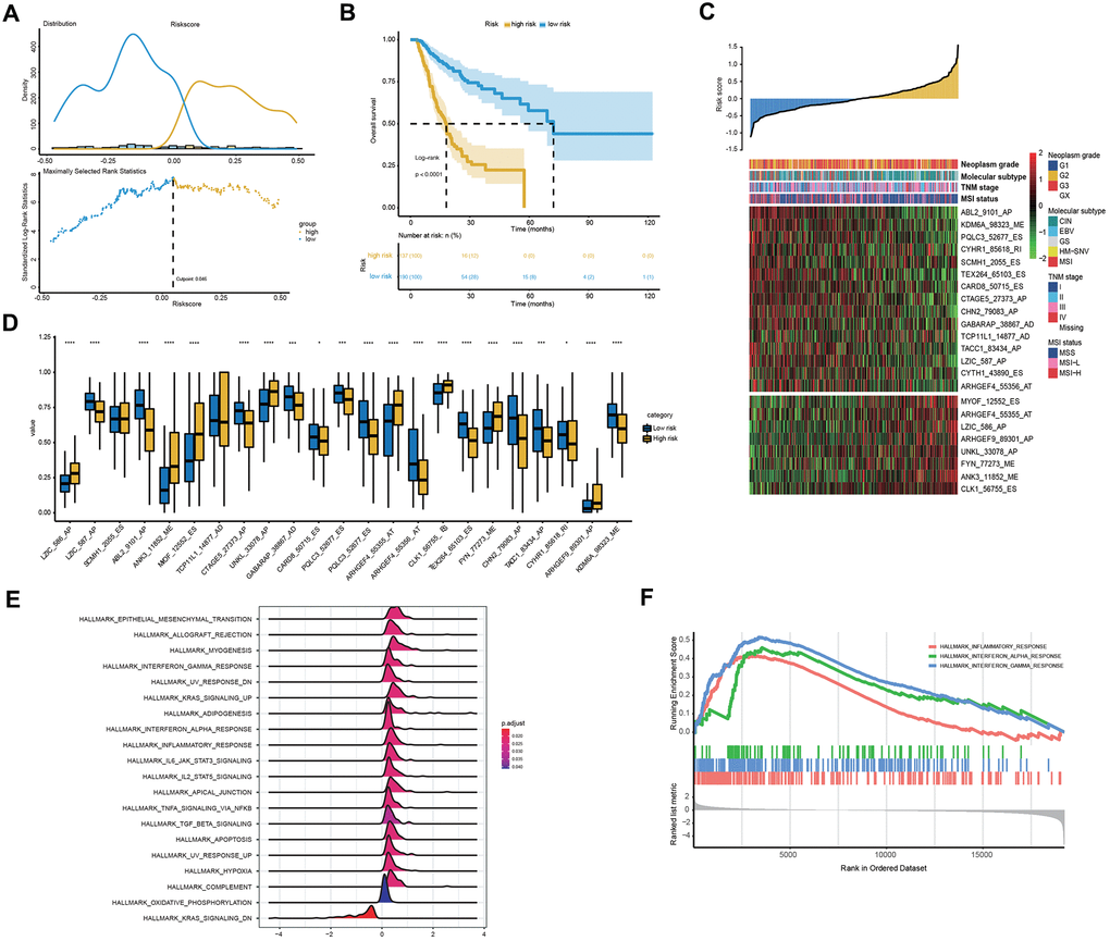 Clinical and molecular features underlying the 23-AS event signature. (A) The optimal cut-off of the 23-AS event signature in the entire TCGA dataset. (B) Kaplan-Meier curve with difference detection by log-rank test for patients in the entire TCGA dataset. (C) Heat map for the expression patterns of the 23 OS-GCAS events for the entire TCGA sample set sorted by the risk score in ascending order. (D) The differential expression of the 23 OS-GCAS events between the high- and low-risk groups. (E, F) GSEA of the 50 hallmark gene sets between the high- and low-risk groups.