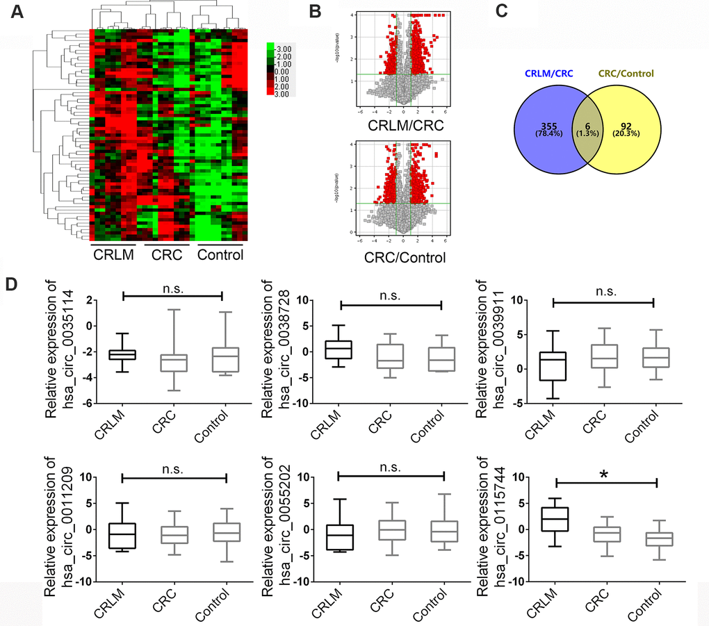 The expression landscape of circulating circRNAs in HCC patients and matched control groups. (A) Cluster analysis of the different expression of the circRNAs extracted from plasma in different groups. (B) Volcano plot shows the up-regulated and down-regulated circRNAs in different groups. Higher expression levels are indicated by “red” and no significant difference is indicated by “black”. (C) Venny map for upregulated circRNAs in CRLM group comparing with CRC and CRC group comparing with healthy control group. (D) The expression of circRNAs were confirmed by RT-PCR in groups. Data were presented as plot of the mean with SEM with log-transformed. CRLM: colorectal cancer with liver metastasis; CRC: colorectal cancer without liver metastasis. *Indicated P 