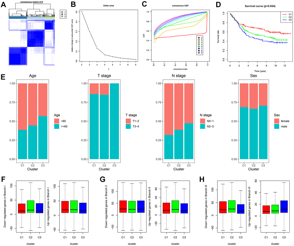 GDRG-based consensus clustering analysis of GC patients from the GSE84437 dataset. (A–C) Three molecular subtypes were identified at a clustering threshold of K = 9. (D) Kaplan-Meier analysis between the three molecular subtypes. (E) Proportion of clinicopathologic features among the three molecular subtypes. (F–H) The up/downregulated GDRGs in subsets I/II/III showed the same expression trends as subtypes I/II/III (C1/2/3). GC: gastric cancer, GDRG: GC differentiation-related gene.