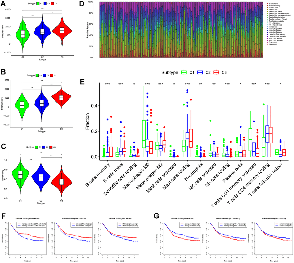 Comprehensive analysis of tumor microenvironment scores and immune cell infiltration across three molecular subtypes. (A–C) Tumor microenvironment scores across three molecular subtypes. (D) The contents of 22 immune cells in each sample from the GES84437 dataset. (E) Differential analysis showed that the contents of 14 kinds of immune cells were different in the three subtypes. (F) Kaplan-Meier analysis of memory-activated CD4+ T cells, activated NK cells (P G) Kaplan-Meier analysis of resting mast cells, memory resting CD4+ T cells and naive B cells.