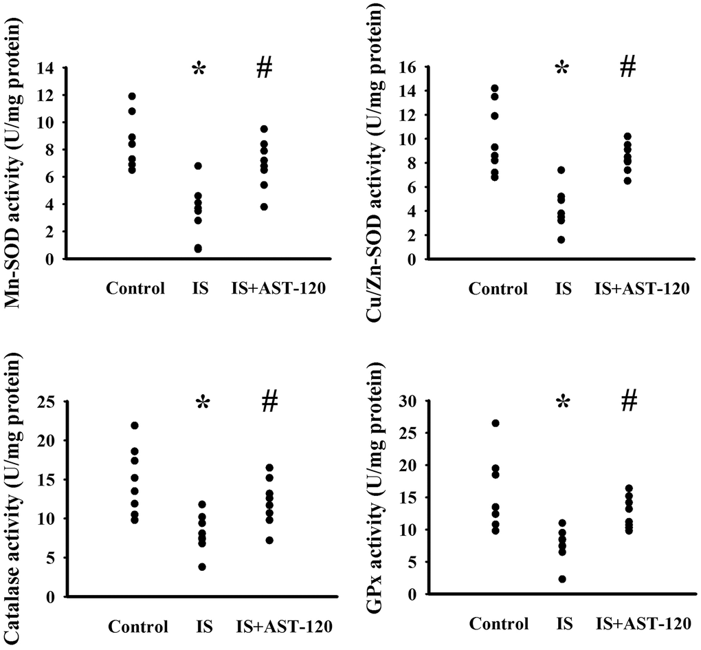 Indoxyl sulfate decreased antioxidant enzyme activities. Unilateral nephrectomized mice were intraperitoneally injected with indoxyl sulfate (IS, 0 and 100 mg/kg) and the indoxyl sulfate-injected mice were orally given with AST-120 (0 and 400 mg/kg) for 7 weeks. The prefrontal cortical tissues were collected and subjected to the measurement of Mn-SOD activity, Cu/Zn-SOD activity, Catalase activity, and GPx activity. *p 