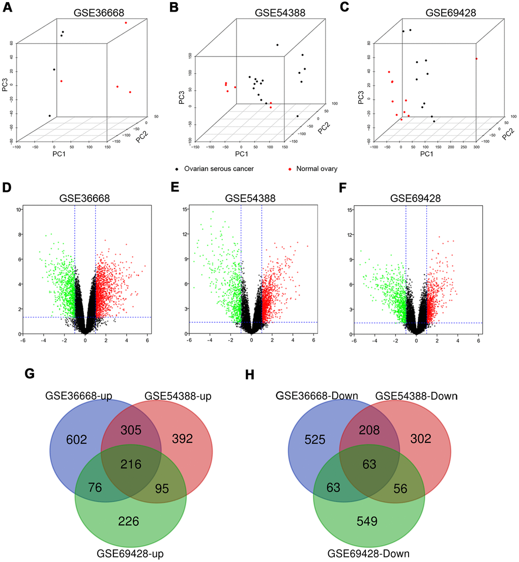 The distribution of expression situation and DEGs identification among GSE36668, GSE54388 and GSE69428 after normalization. (A–C) Whole transcriptomes were subjected to PCA on expressed genes to assess sample diversity and relatedness between OSC tissues (black dot) and normal ovary tissues (red dot). See also Supplementary Videos 1–3 (Supporting Information). (D, E) Volcano plots represent DEGs between OSC tissues and normal ovary tissues. Red dots indicate upregulation in DEG (LogFC≥1, p-valuep-valueG) and the down expressed genes (H) among these datasets.