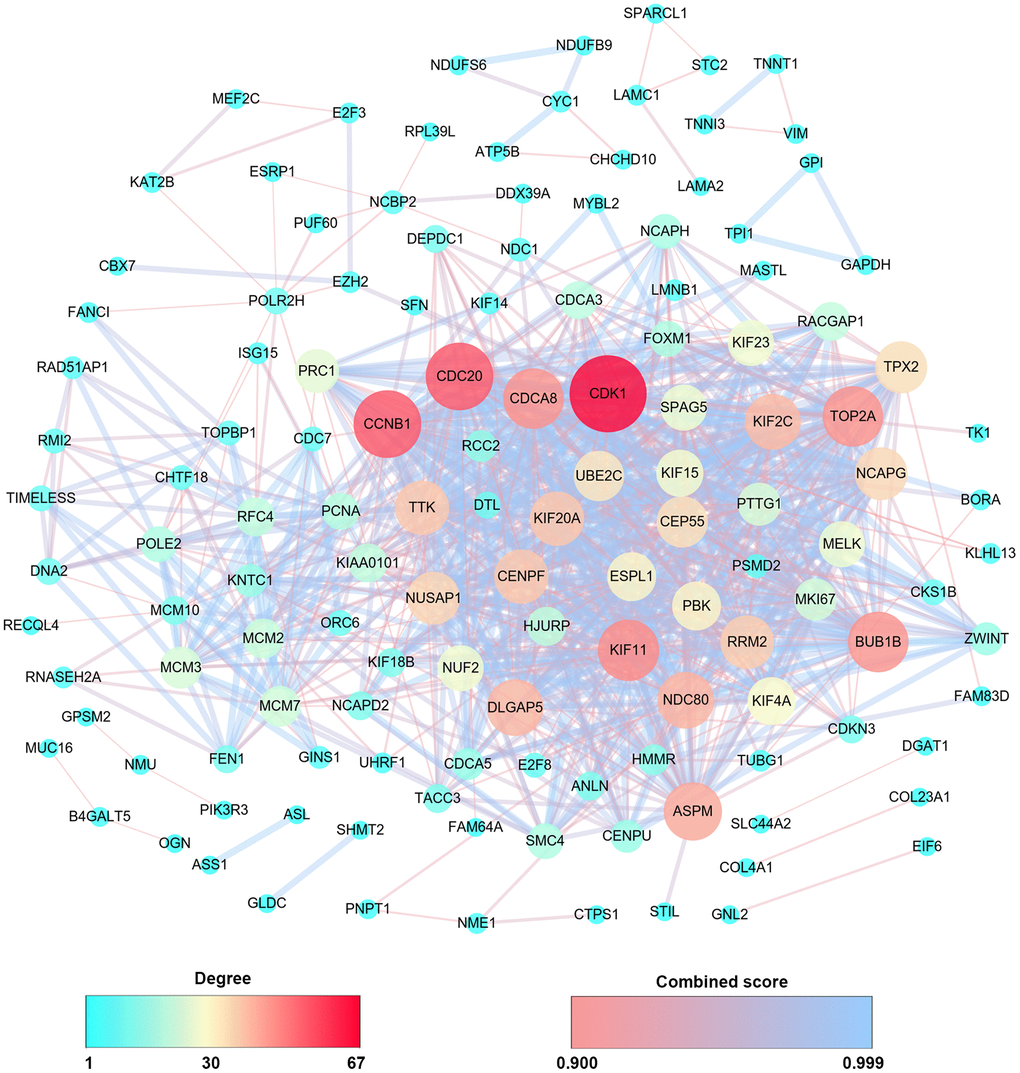 PPIs co-expression network from 279 co-DEGs. The sphere color and size represent the degree of nodes with the line color indicating the combined score among them.