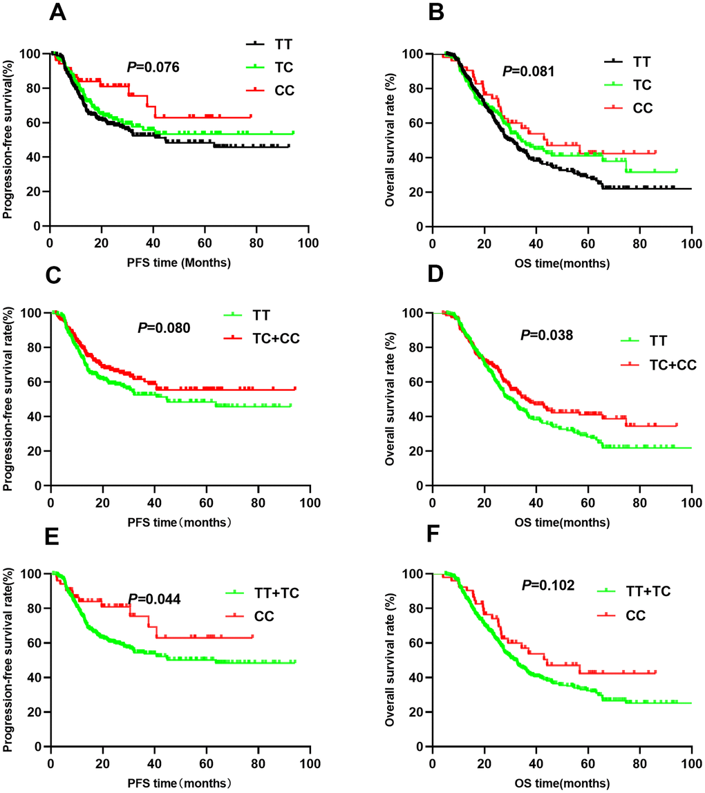 Kaplan-Meier survival curve analysis showing progression-free survival ((A) CC vs CT vs TT, (C) CT+TT vs CC, (E) TT vs CT+CC) and overall survival ((B) CC vs CT vs TT, (D) CT+TT vs CC, (F) TT vs CT+CC) of NSCLC patients with HIF1-alpha rs10873142.