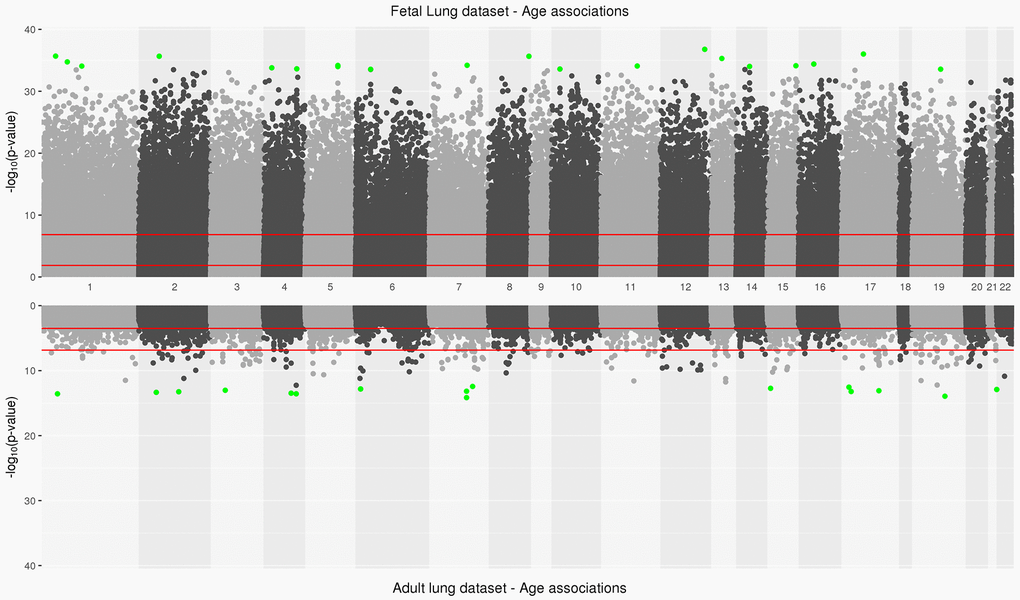 Manhattan plot depicting significance on y-axis and distribution of CpGs across all chromosomes on x-axis for fetal lung dataset (top panel) and adult lung dataset associations with age (bottom panel). Top 20 CpGs in both datasets have been highlighted in green. The two red lines represent the CpG sites significant at an FDR