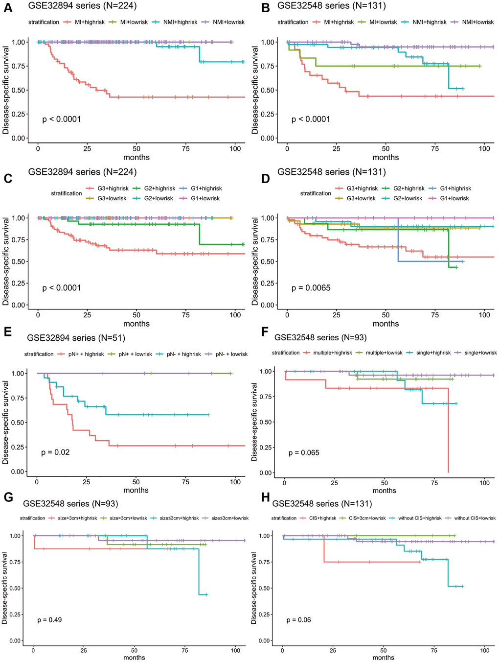 Kaplan-Meier estimates along with stratification of DSS for patient grouping by the signature. (A) Kaplan-Meier curves for GSE32894 (N = 224), stratified by whether muscle invasion exists (≤T2 or >T2). (B) Kaplan-Meier curves for GSE32548 (N = 131), stratified by whether muscle invasion exists (≤T2 or >T2). (C) Kaplan-Meier curves for GSE32894 (N = 224), stratified by tumour grade. (D) Kaplan-Meier curves for GSE32548 (N = 131), stratified by tumour grade. (E) Kaplan-Meier curves for patients with cystectomy in GSE32894 (N = 51), stratified by pN (pN- or pN+). (F) Kaplan-Meier curves for patients with NMIUC (G) Kaplan-Meier curves for patients with NMIUC (3 cm). (H) Kaplan-Meier curves for GSE32548 (N = 131), stratified by concomitant CIS; the tick marks on the Kaplan-Meier curves represent death from disease. The differences between the two curves were assessed by the log-rank test. MI: muscle invasion; NMI: non-muscle invasion.