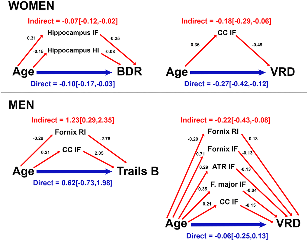 Mediation of age effects on cognitive function by microstructure for women and men. Direct (blue) and indirect (red) effects of age (coefficient [95% confidence interval]) are shown for cognitive scores mediated by microstructure. Coefficients for effects of age on RSI metrics, and effects of RSI metrics on cognitive score are provided. For ease of interpretation, RSI scores were converted to a similar order of magnitude as age and cognitive scores by multiplying raw RSI scores (range 0-1) by 100 (converted range 0-100). Coefficients are unstandardized and reflect the magnitude of change in RSI metric (or cognitive score) per year of age (or 1/100 unit increase in RSI metric). Data are shown for models in which total and indirect effects are significant at p