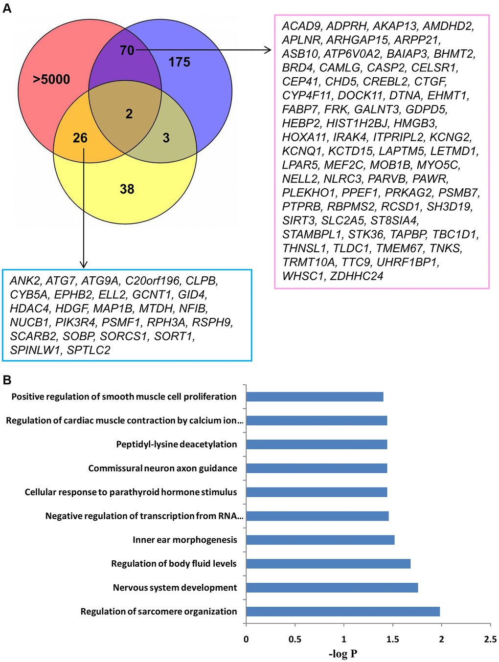 The identification and GO analysis of up-regulated targets of miRNAs associated with LA. (A) An integrated analysis of microarray LA miRNA and mRNA expression profiling identified 98 up-regulated genes, which could be inhibited by hsa-miR-1972, hsa-miR-26b-5p, or hsa-miR-3141. Two targets showed increased expression in both WML tissue and whole blood of LA subjects. Blue and yellow circles show 250 up-regulated genes in WML tissue and 79 up-regulated genes in whole blood, respectively. The pink circle includes more than 5000 potential targets of miR-1972, miR-3141, and miR-26b-5p, which were predicted from multiple predictive tools. (B) Top 10 biological processes significantly enriched with 98 overlapping genes. Functional enrichment analysis was performed using a DAVID bioinformatics database.