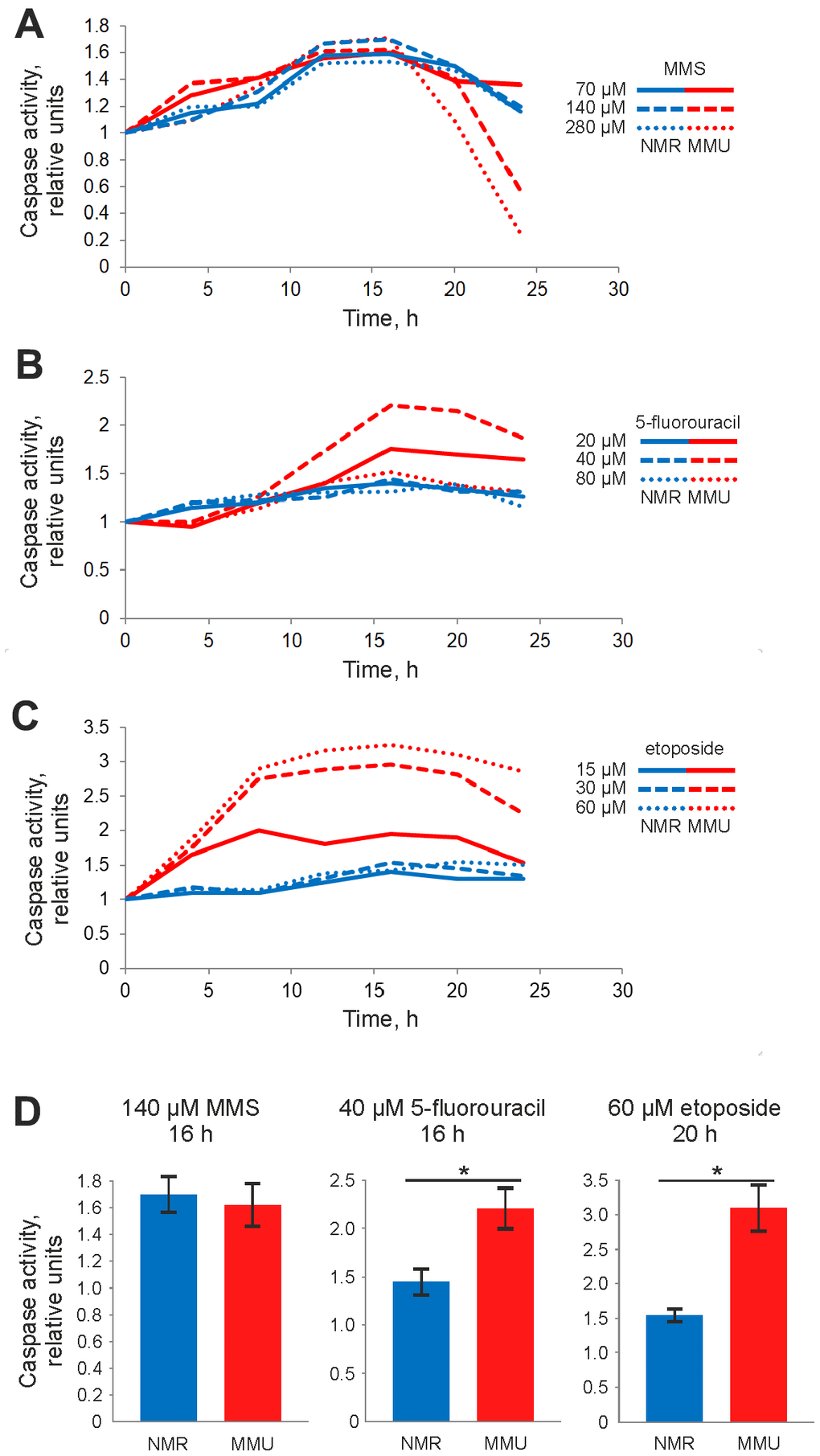 Caspase activity of NMR and mouse fibroblasts upon treatment with DNA damaging agents determined by Caspase-Glo 3/7 assay. Activity of effector caspases-3/7 was measured after treatment with: (A) 70 μM (solid line), 140 μM (dashed line), and 280 μM (dotted line) MMS; (B) 20 μM (solid line), 40 μM (dashed line) and 80 μM (dotted line) 5FU; (C) 15 μM (solid line), 30 μM (dashed line), and 60 μM (dotted line) Eto. The caspase activity in untreated cells was taken as one relative unit. Results represent the mean of at least three independent experiments. (D) Caspase activity of NMR and mouse cells is shown for treatment with 140 μM MMS for 16 h, 40 μM 5FU for 20 h and 60 μM Eto for 16 h. Standard deviation is shown; confidence is based on the Mann-Whitney U test, *P 