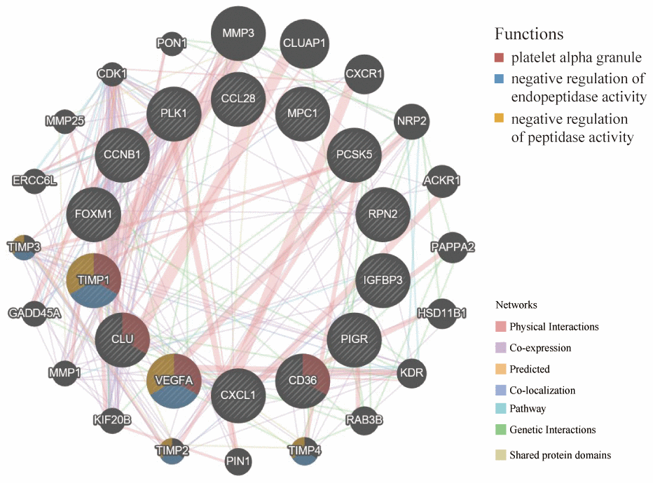 GeneMANIA website was used to identify functionally similar genes and establish a PPI network. The 20 functionally similar genes were located in the outer circle, while hub genes were located in the inner circle. The color of nodes was related to the protein function while line color represented the type of protein interaction.