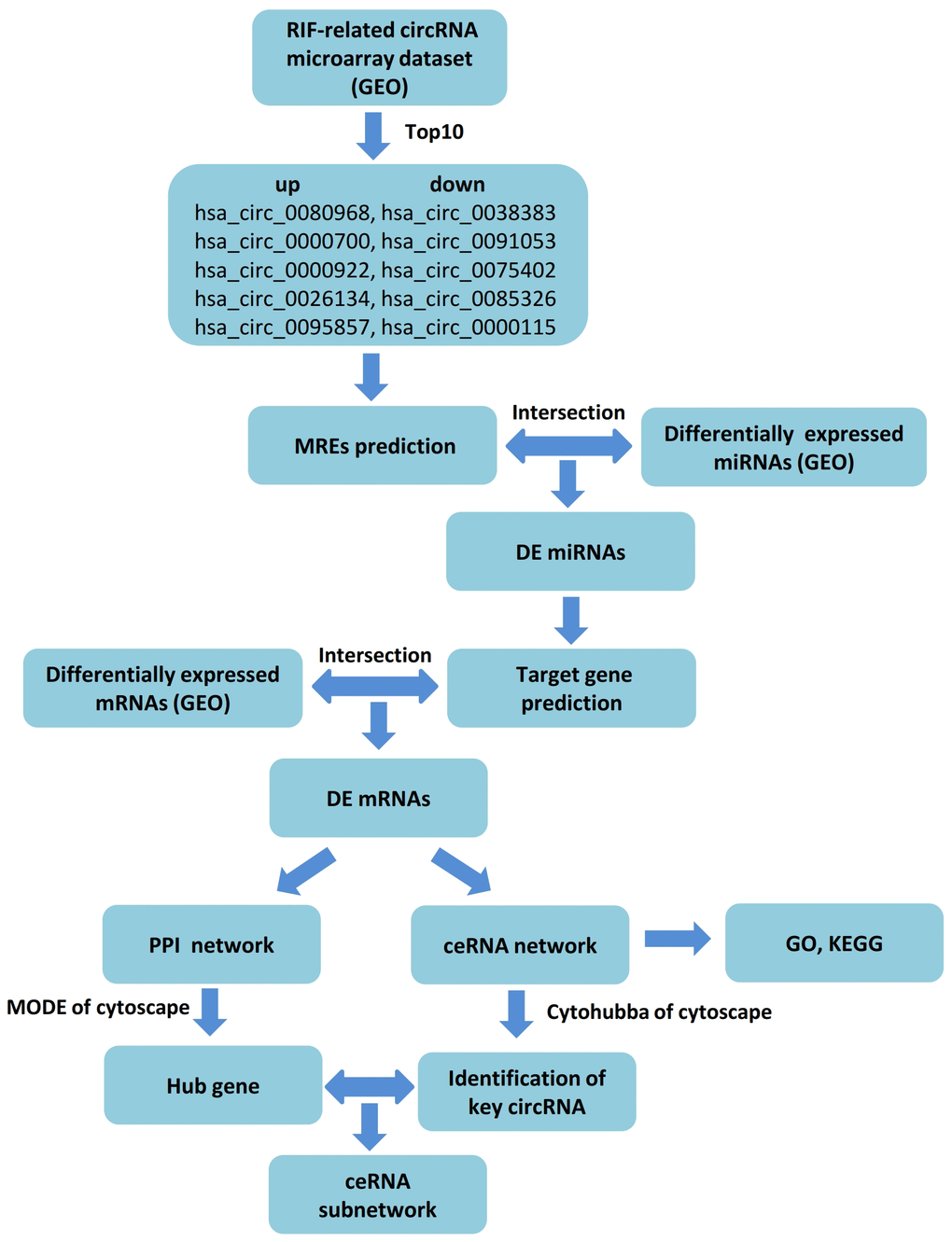 Flow chart of the ceRNA network analysis.