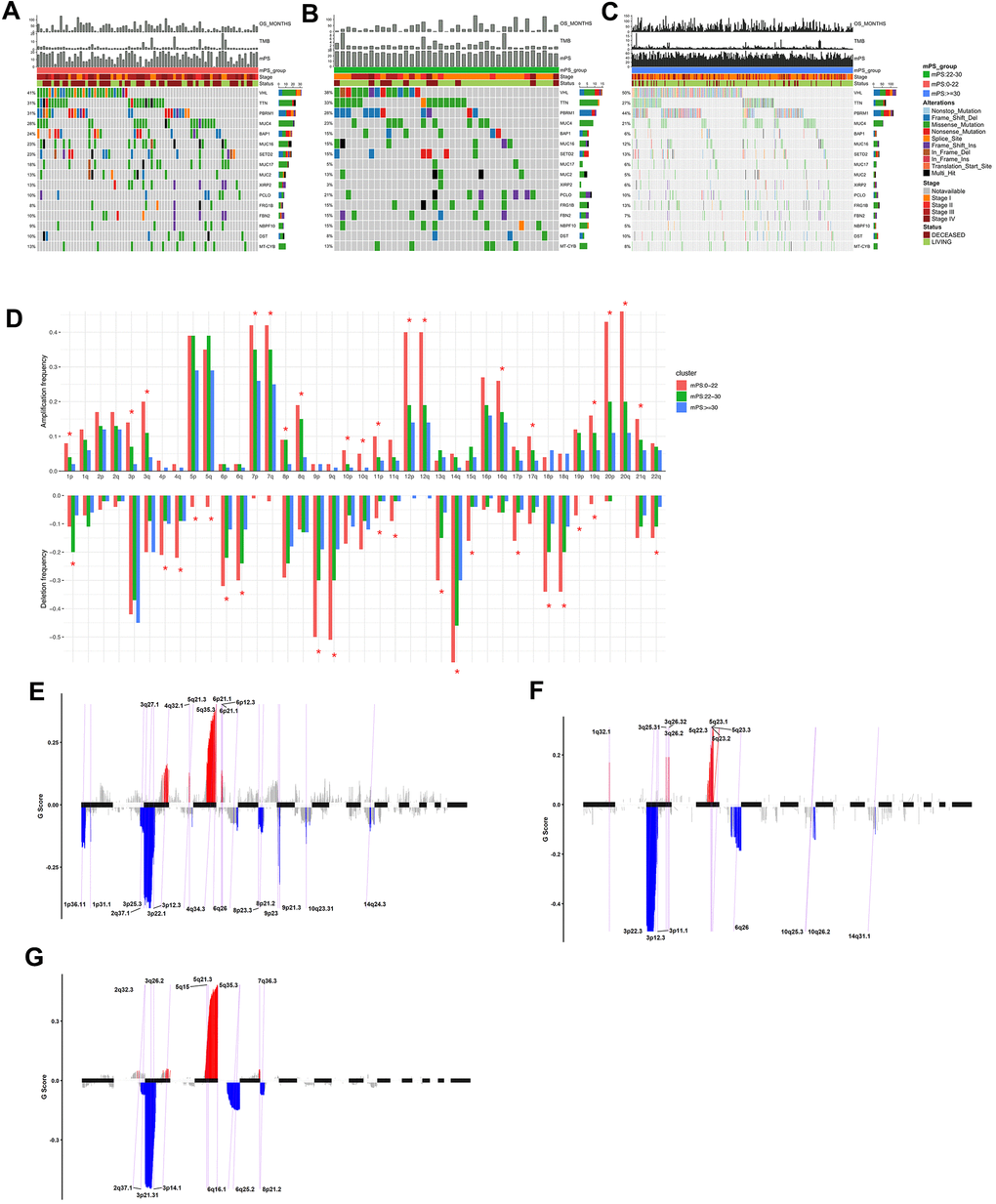 Mutations and copy number variations in the three subgroups stratified by mPS system. (A–C) Distribution and phenotype of common gene mutations in the three subgroups stratified by mPS system: (A) low-mPS group (mPSB) median-mPS group (22≤mPSC) high-mPS group (mPS>30). (D) The levels of amplification and deletion of chromosome arms of the three subgroups stratified by mPS system. Objects with pentagrams indicate there is a significant difference in the frequency distribution among the three subgroup (P E–G) The copy number variations located on minimal common regions (MCRs) of the three subgroups stratified by mPS system: (E) low-mPS group (mPSF) median-mPS group (22≤mPSG) high-mPS group (mPS≥30).